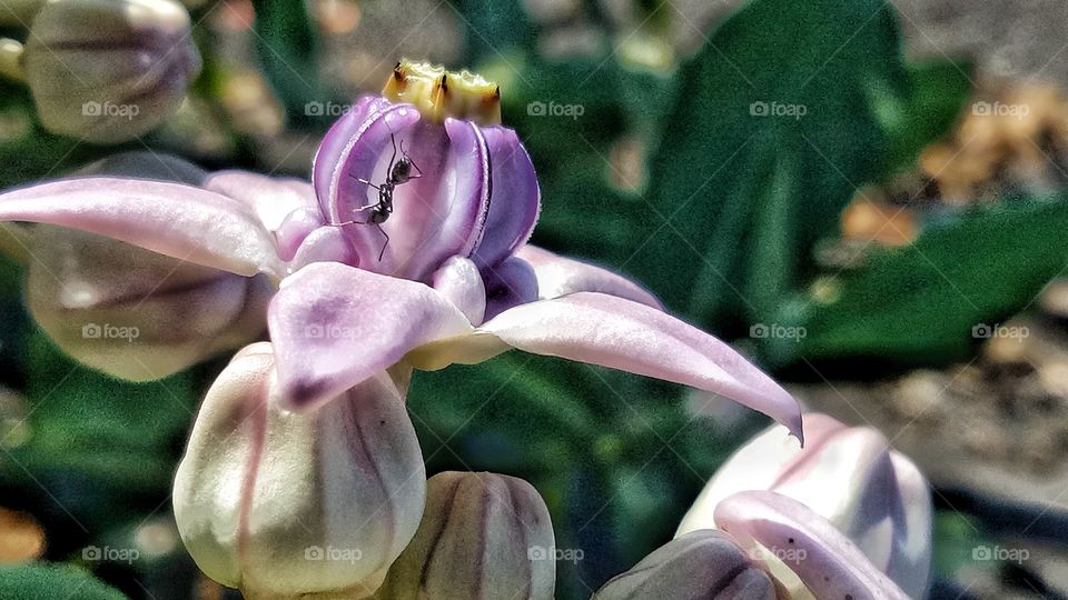 It was one of those March days when the sun shines hot and the wind blows cold: when it is summer in the light, and winter in the shade
~Charles Dickens