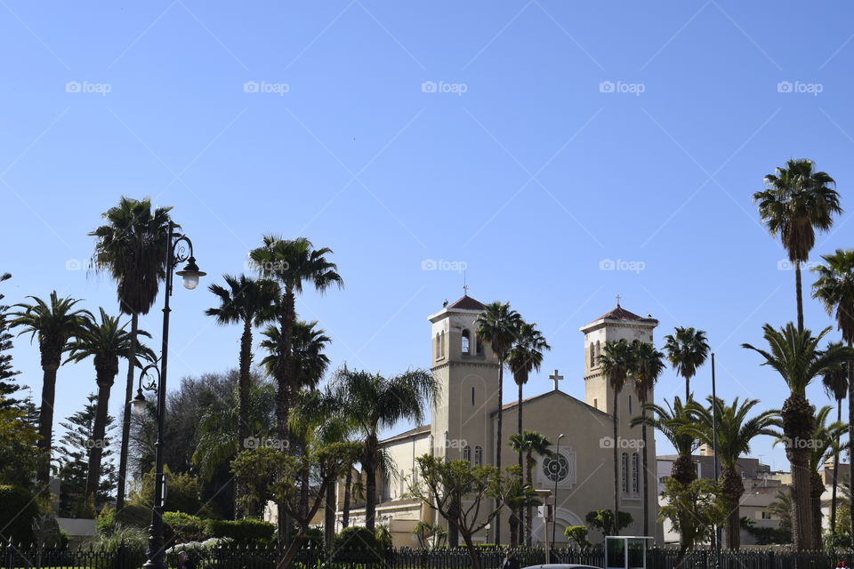Church surrounded with palm trees. this church is situated in Morocco, exactly in Oujda city- a nice city in North Africa
