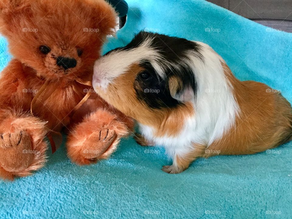 Jonathan with Teddy bear 