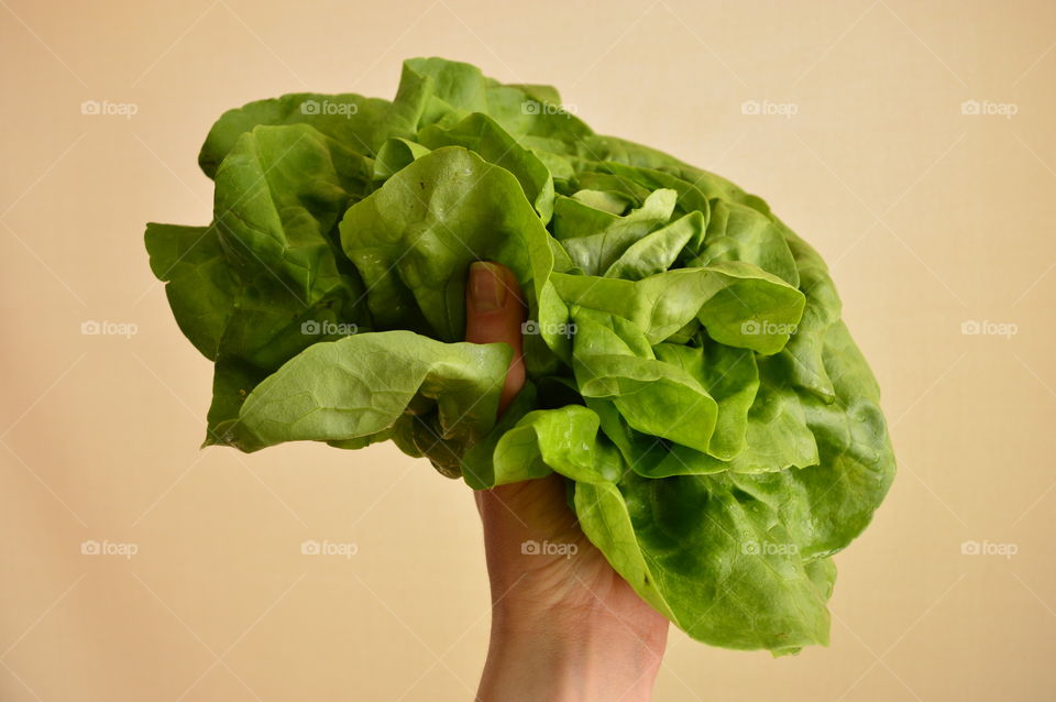 Women holding spinach leaves