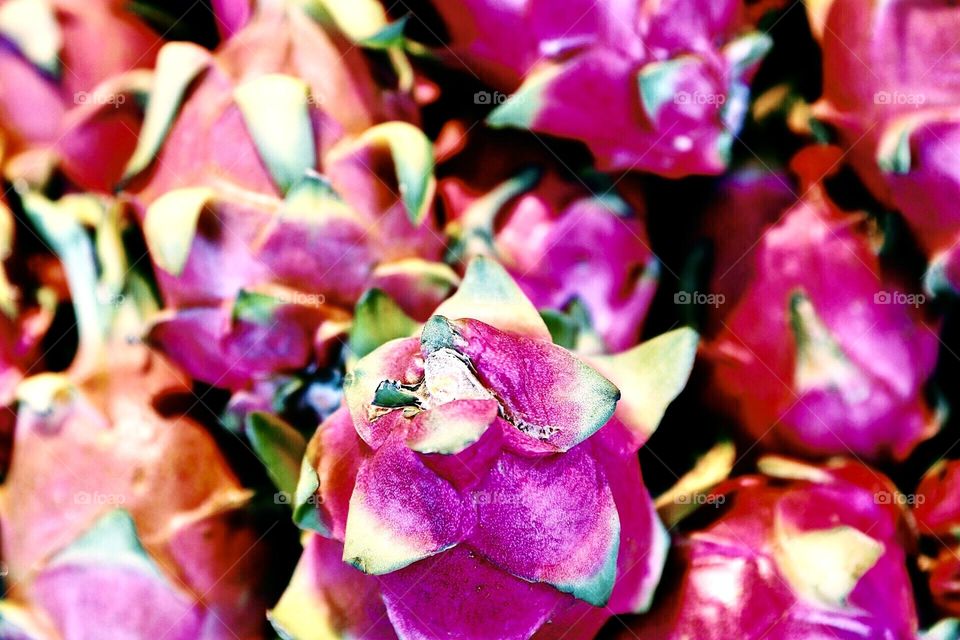 Pink and green fruits