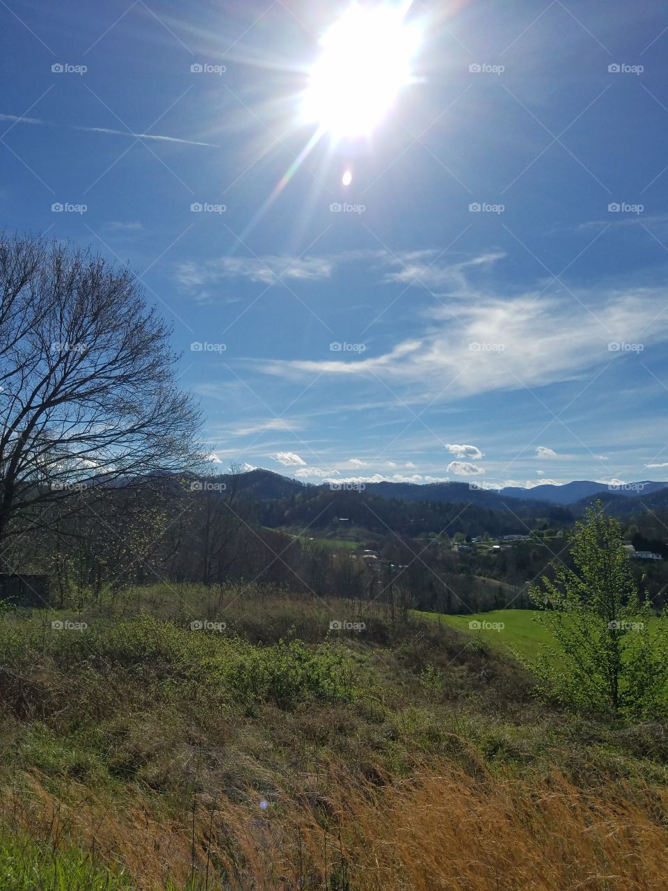 Country afternoon sunshine