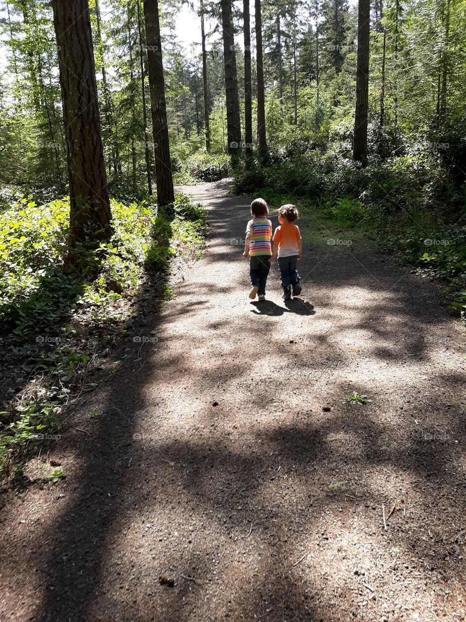 Walking in the woods