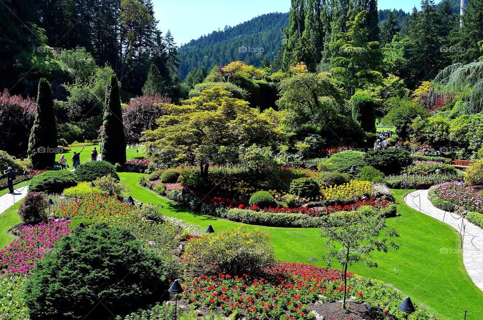 High angle view of butchart garden