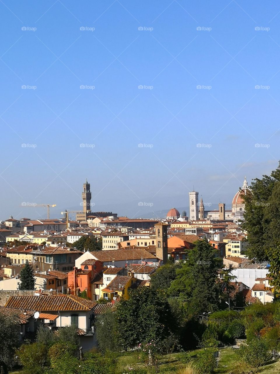 Panoramica di Firenze panorama Toscana Tuscany