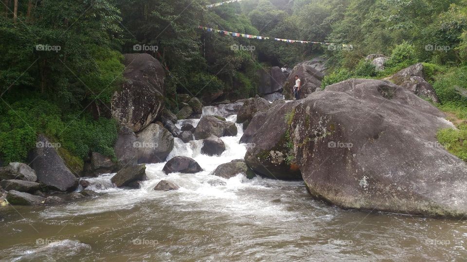 Stream flowing through rock in forest
