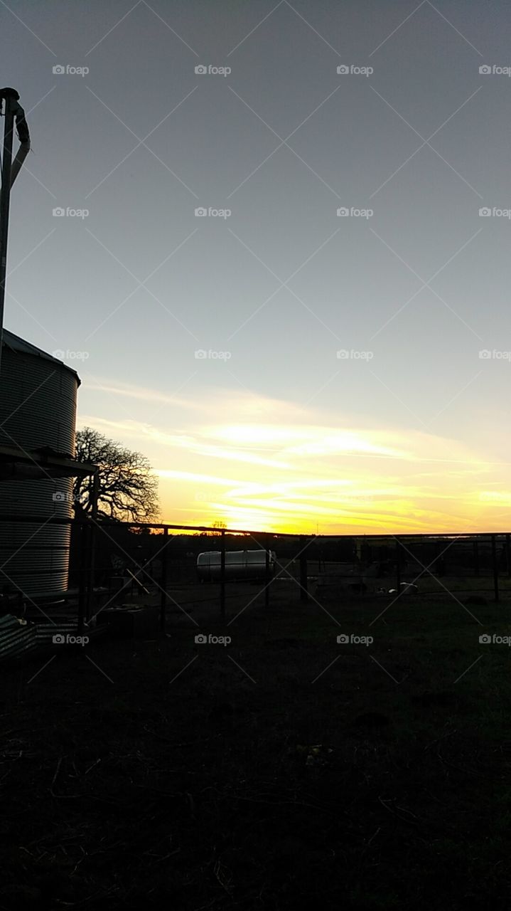 beautiful Texas sunset