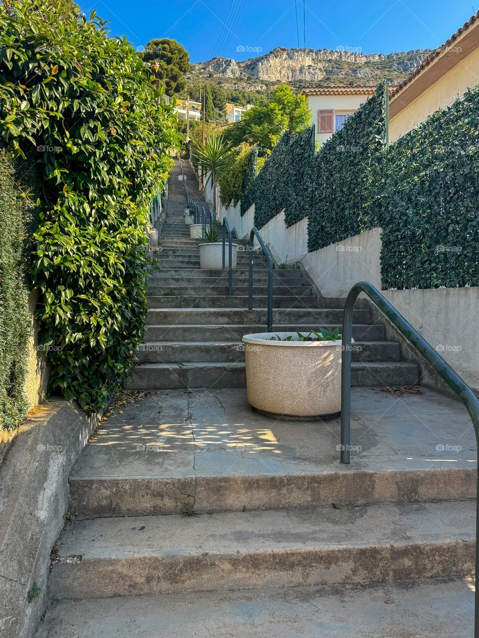 Long concrete stairs with plants