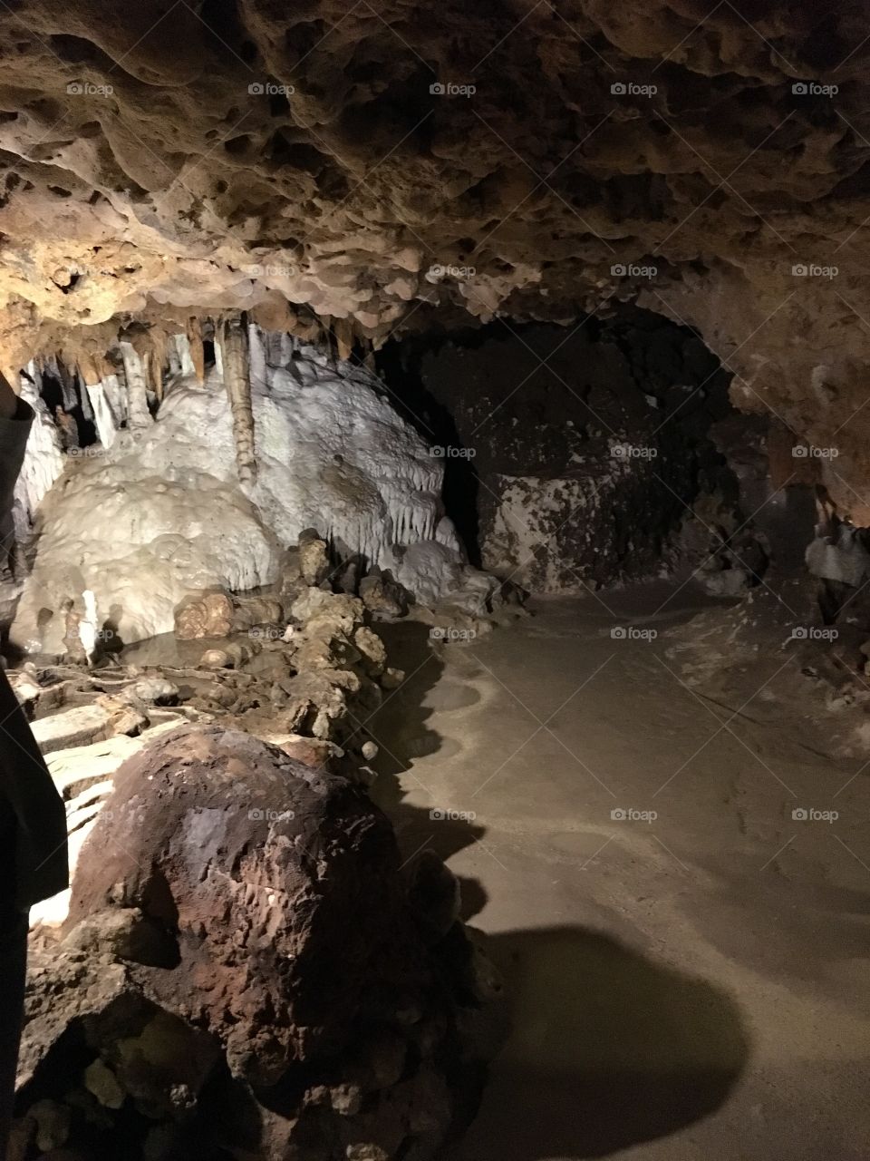 Florida Caverns State Park