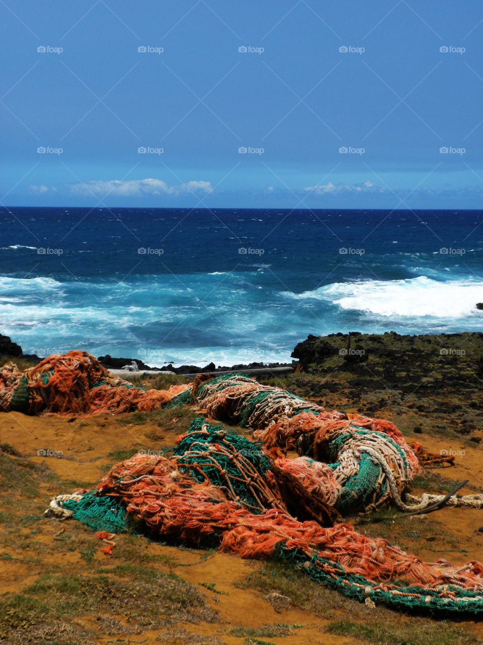 Hawaiian net roll