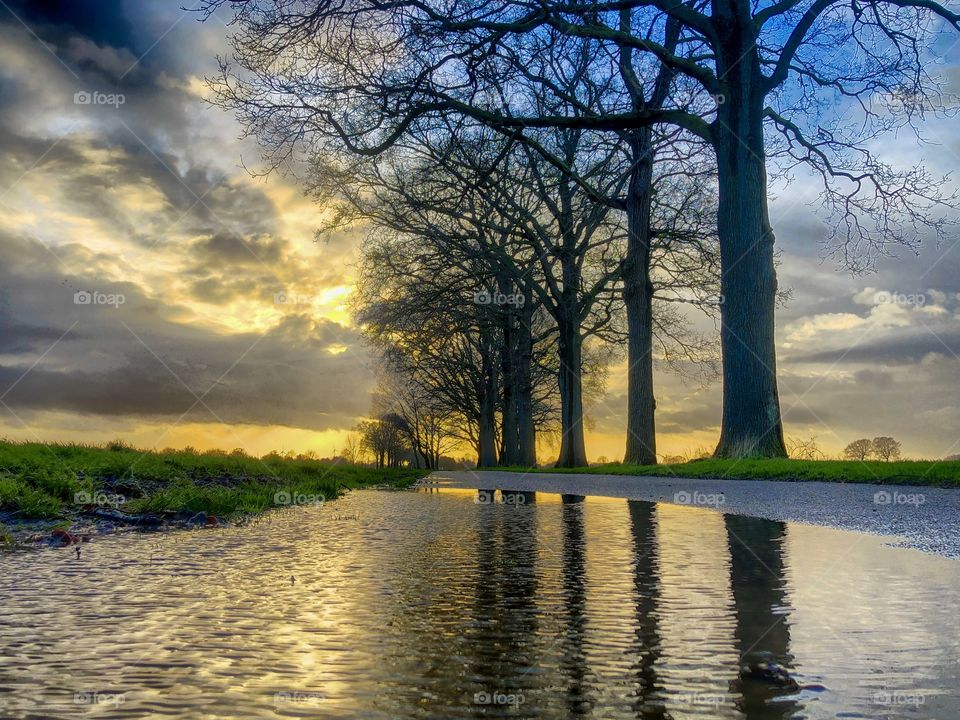 Colorful sunset or sunrise behind grey clouds on a blue sky over a Countryside landscape with bare trees reflected in a puddle on the road after the rain