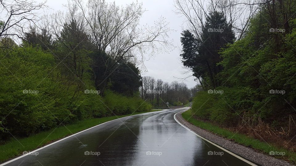 rainy day wet road