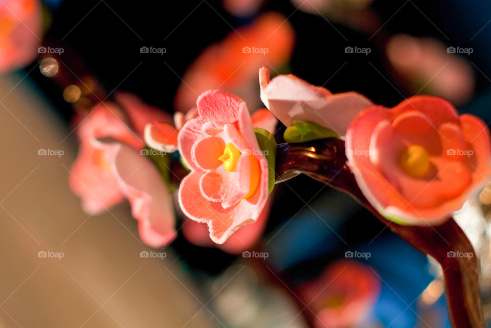 Close up of a cherry blossom dessert confectionary