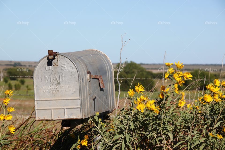 Country Mailbox