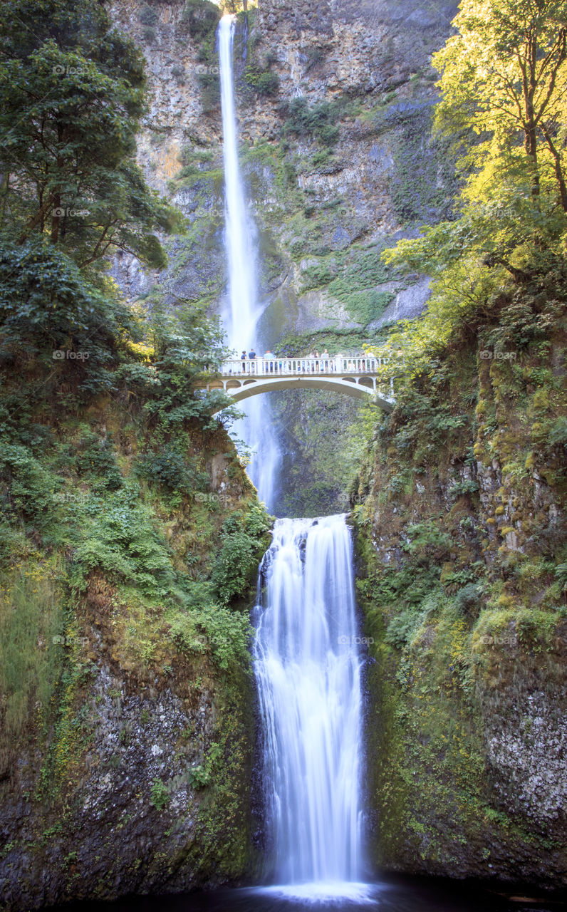 Waterfall, Water, River, Nature, Wood