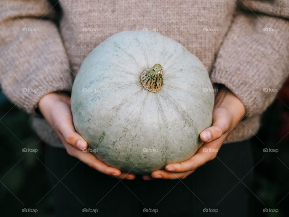 Unrecognisable little boy wearing grey knitted sweater holding fresh pumpkin in hands, crop photo