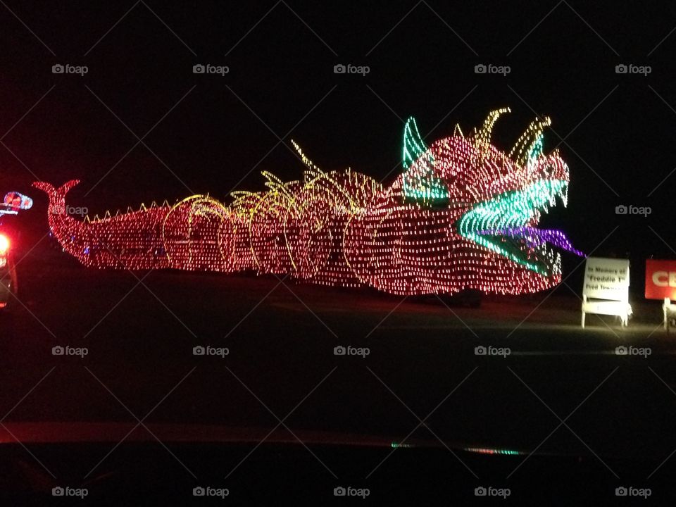 Festival of Lights Dragon