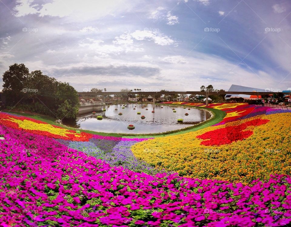 Beautiful park with colorful flowers and pond inside it