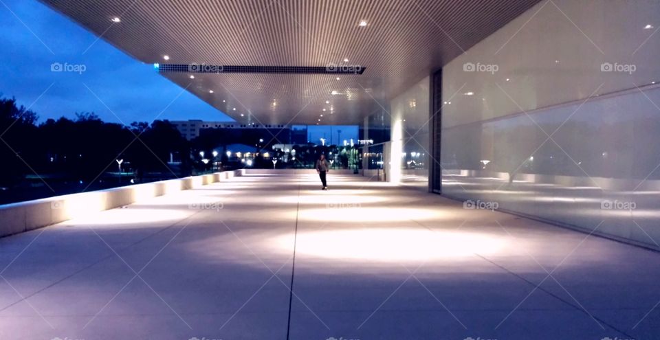 Tampa Skating. Curtis Hixon Park