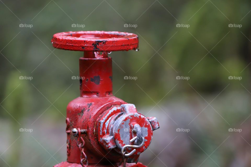 Red metal object washed wit rain