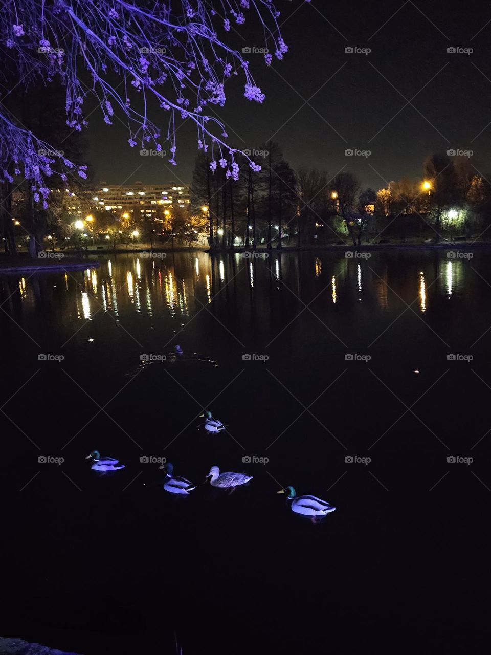 Dance of Colorful Glimmers