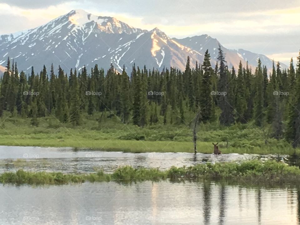 Alaskan mountain range during winter