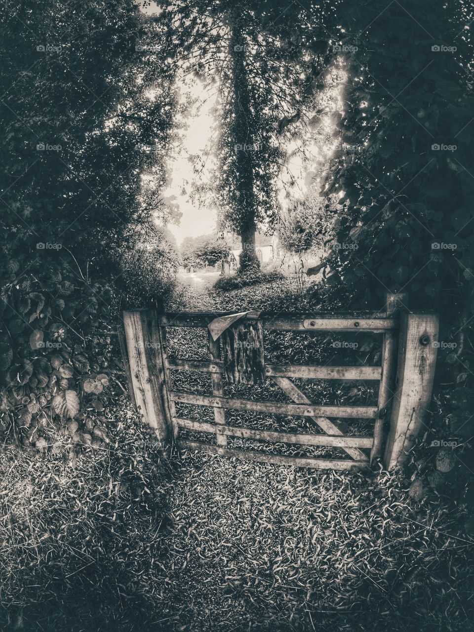 Gate. Old 