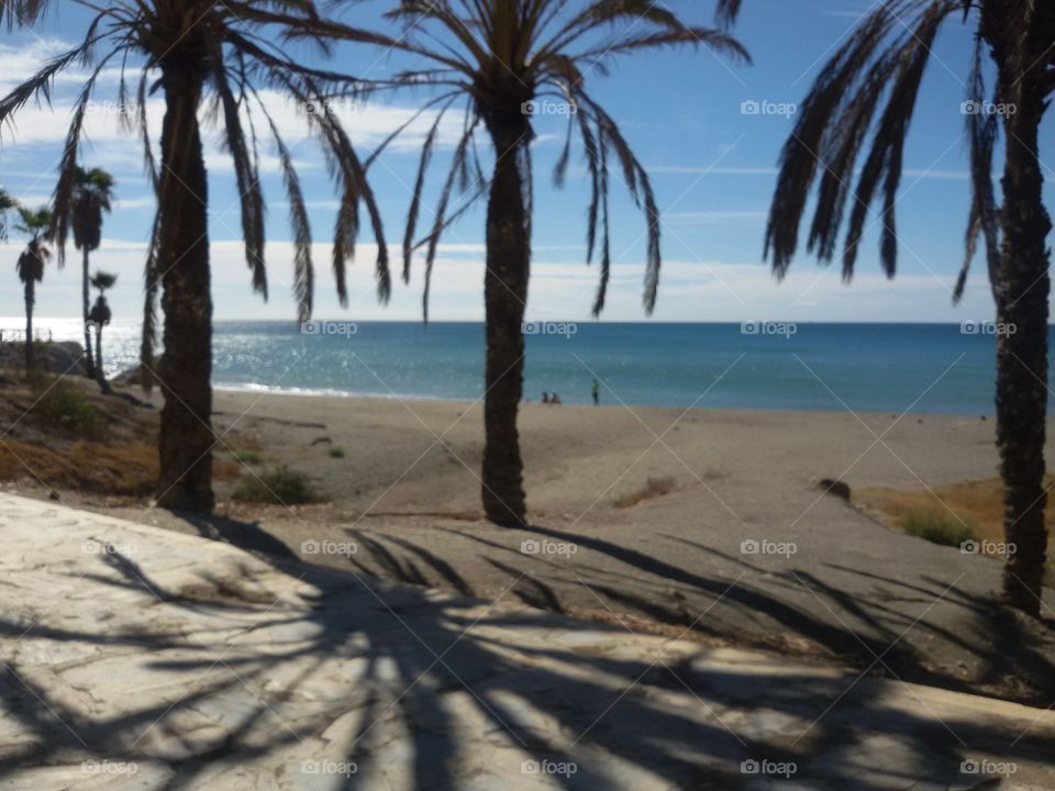 Shadow of palm tree on the beach