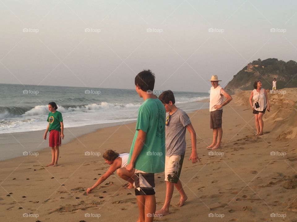 Turtle release