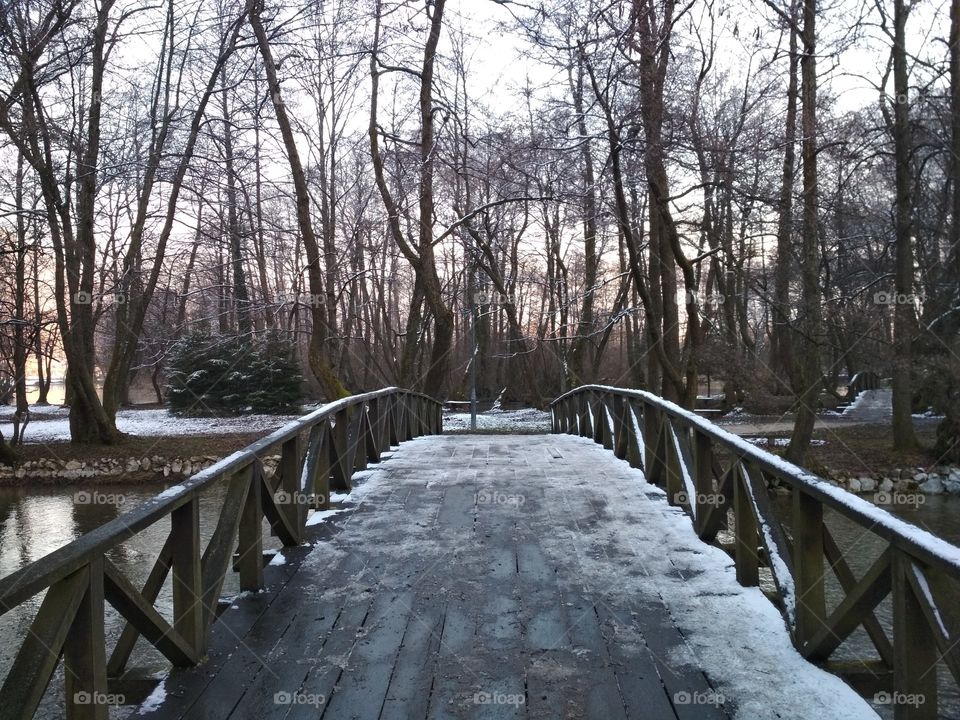 Bridge in winter fantasy.