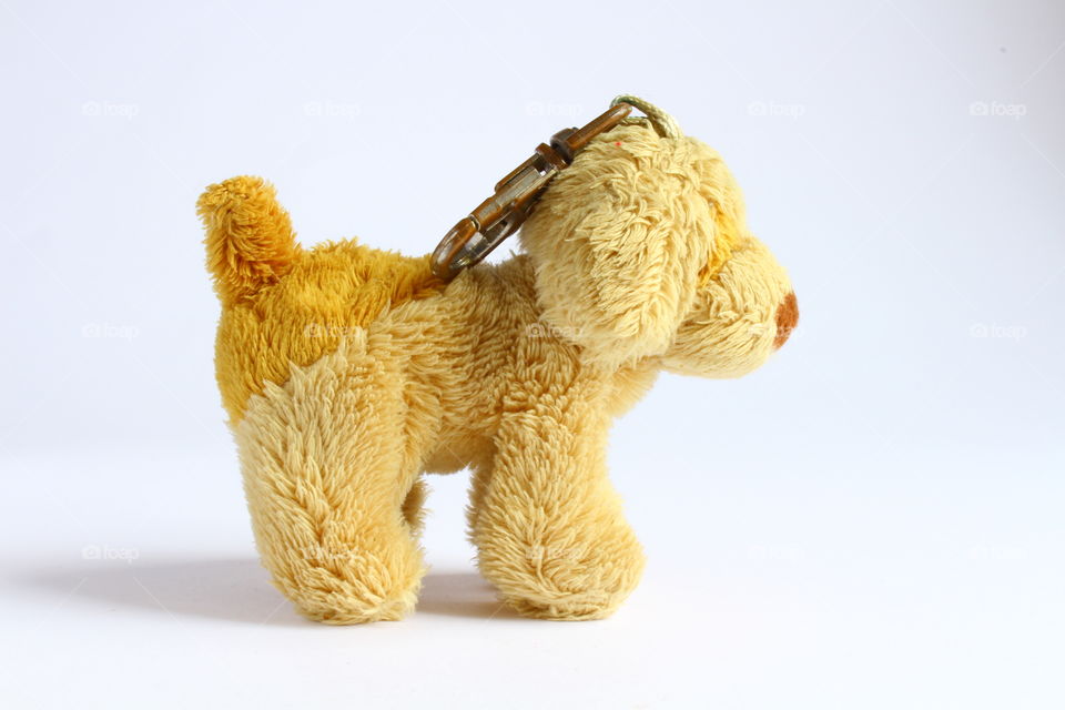 miniature dog toy