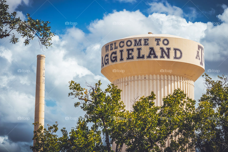 Texas A&M University