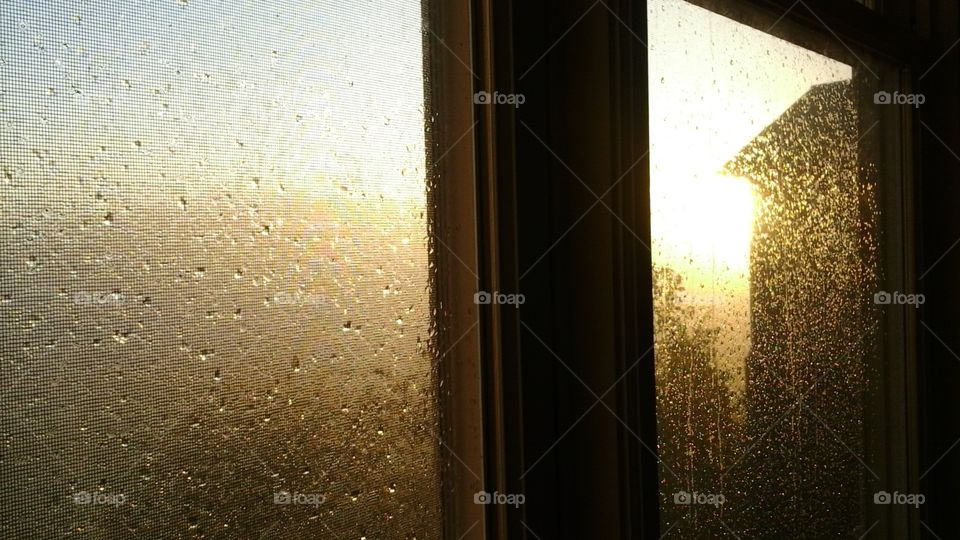 Window. taken this am sunrise after a night of steady rain...caught my eye