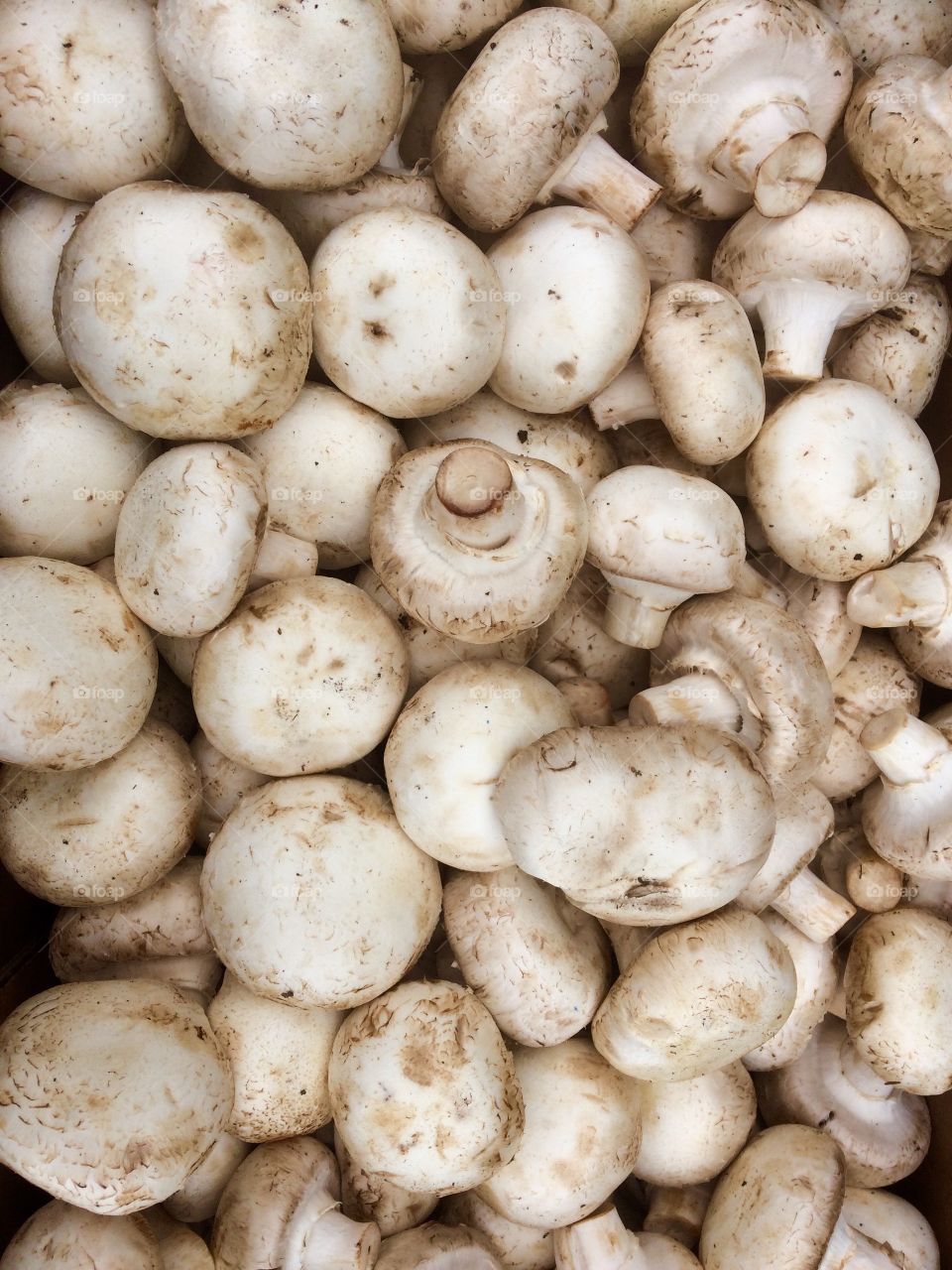Market mushrooms 