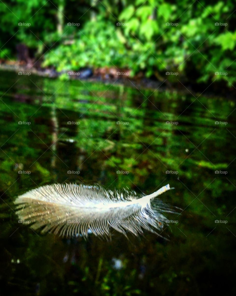 Feather A drift