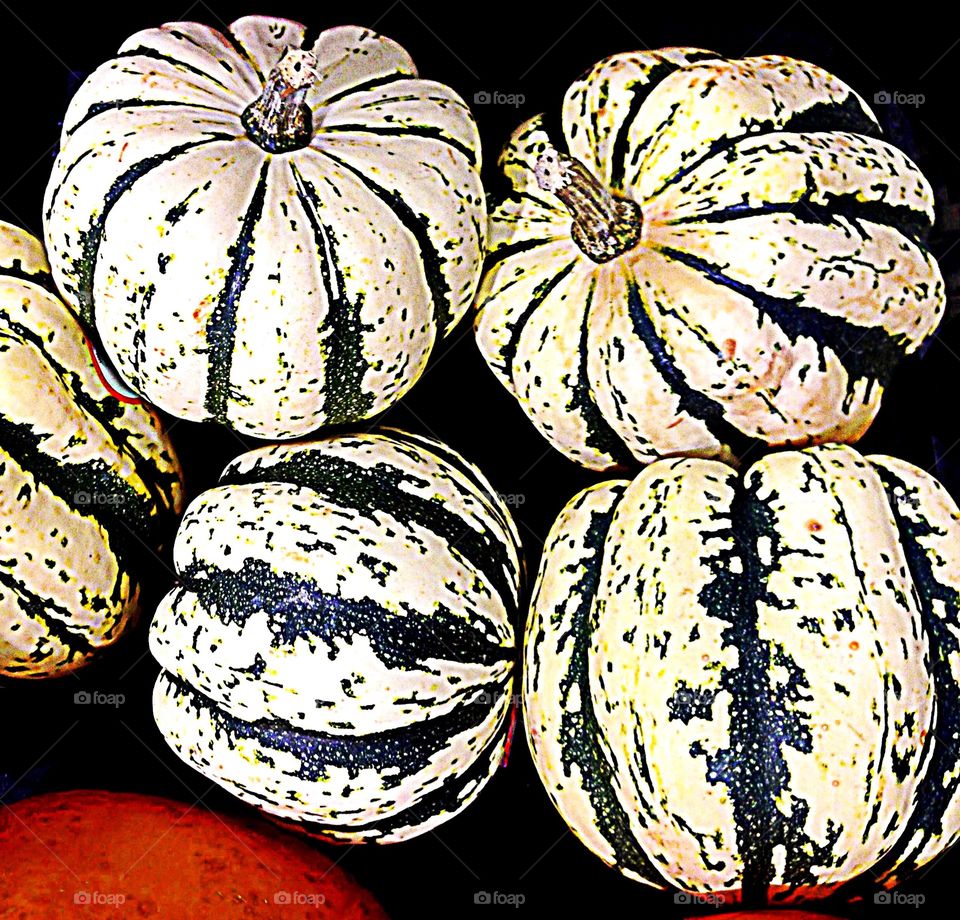 White gourds and pumpkins 