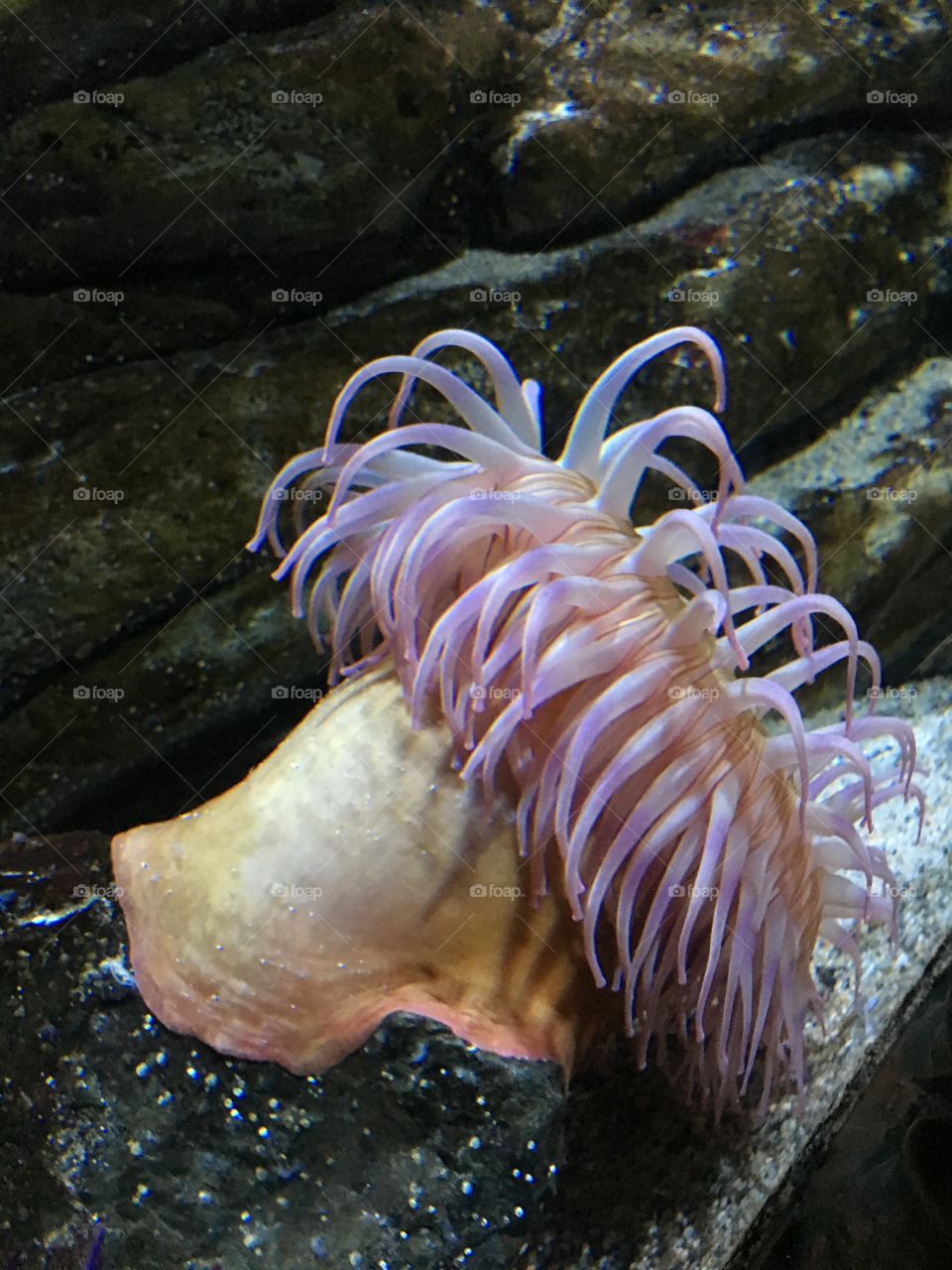 New England Aquarium