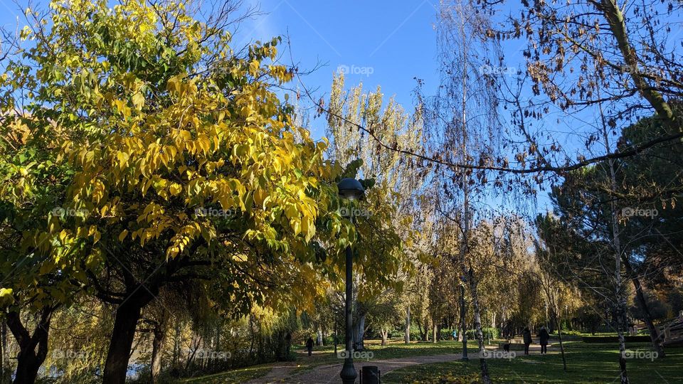 Mi parque. Ribera de Castilla