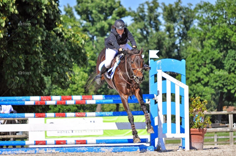 Show jumping