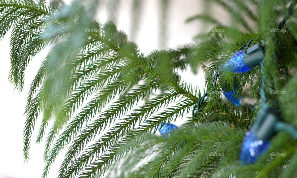 String light on christmas tree