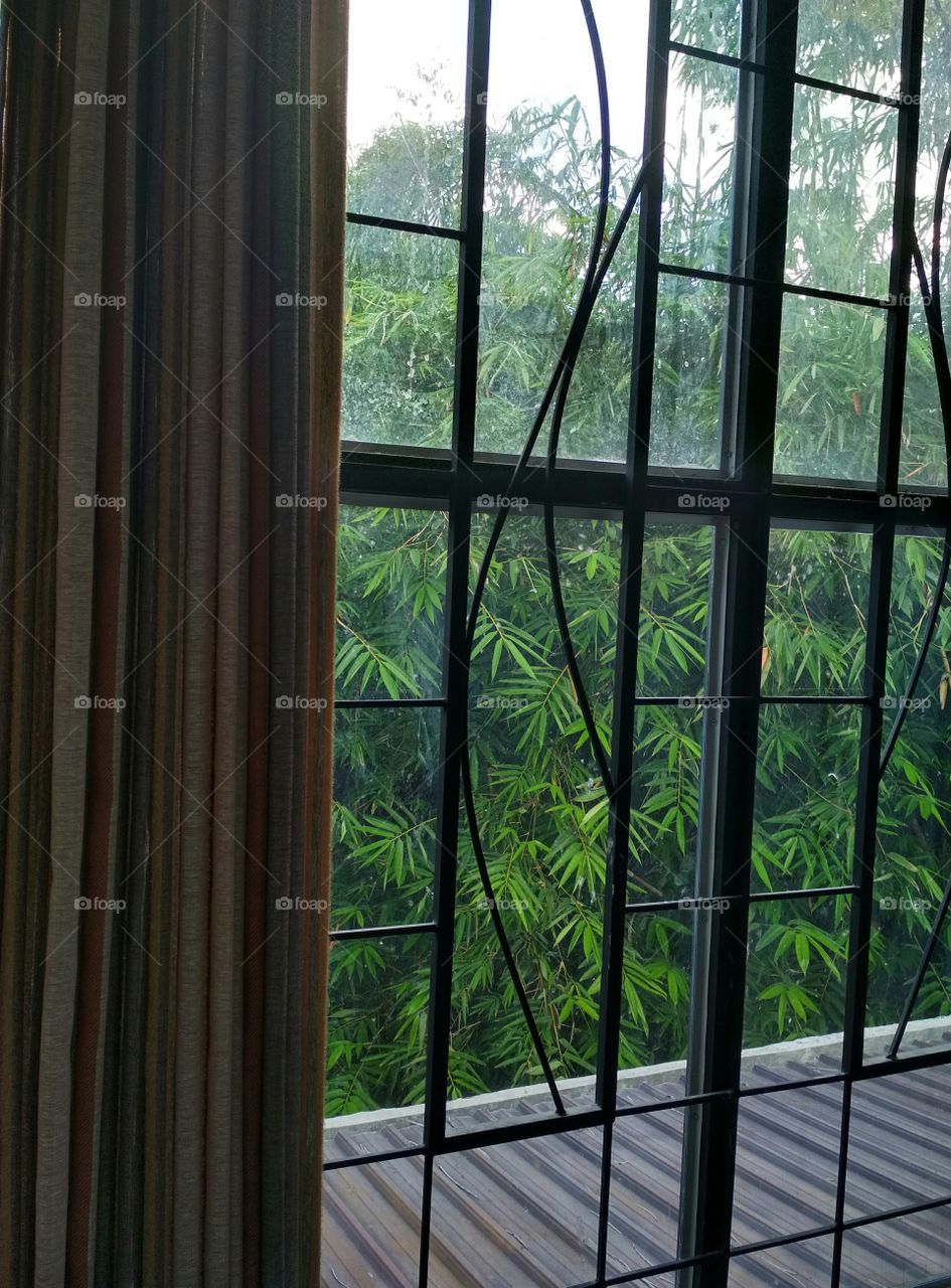 Bamboo outside the black windows