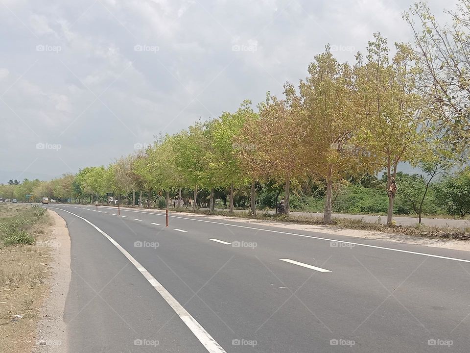 r*avarma vanguvo* Colourfull rees, Clear road