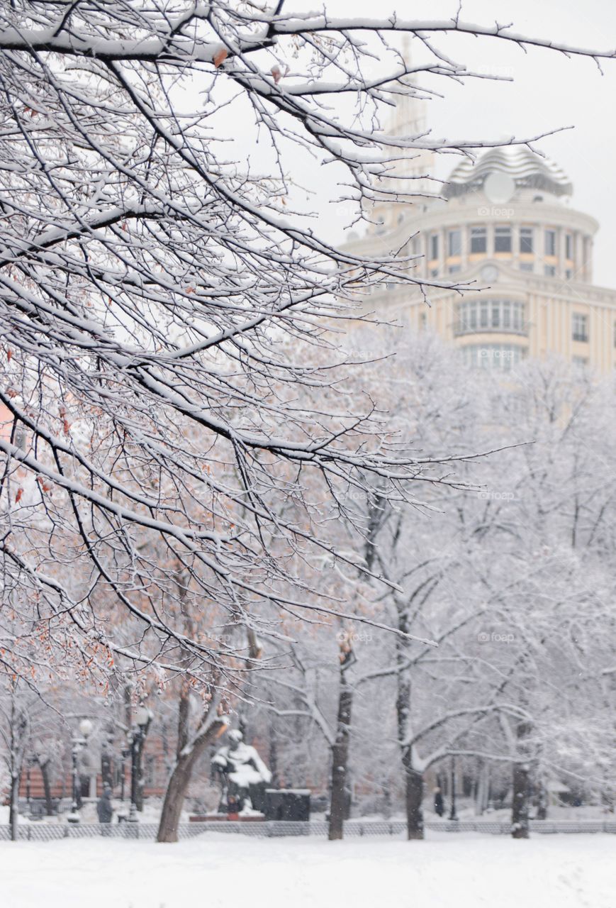 White city with snowy trees