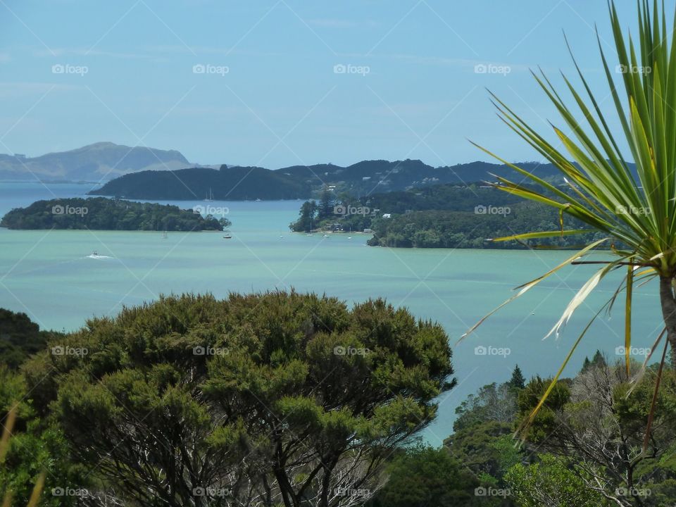 Bay of Islands/ Paihia / New Zealand 