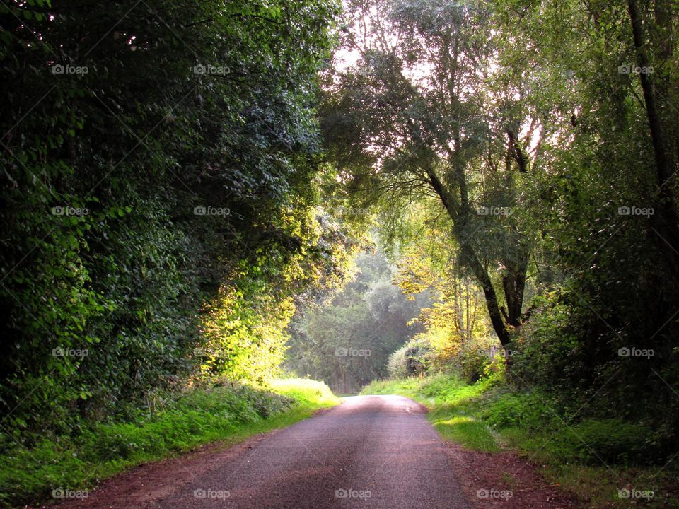 green arch