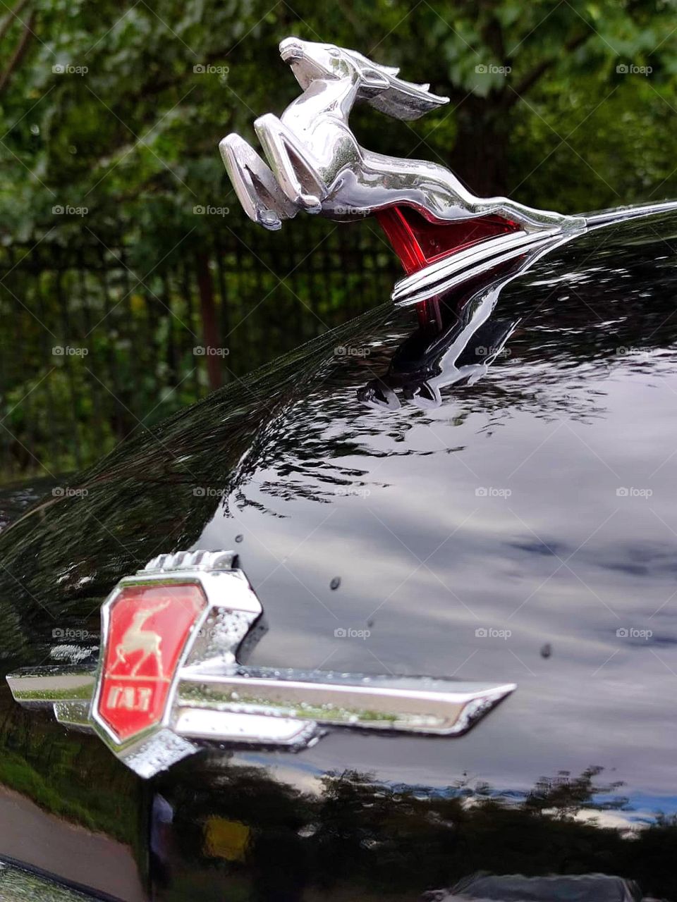 Emblem close-up. Emblem on the hood of the car Volga "GAZ-21" in the form of a flying deer of silver color