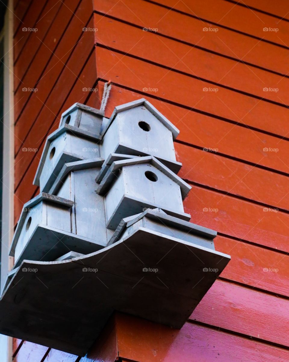 Bird houses . Bird skyskraper