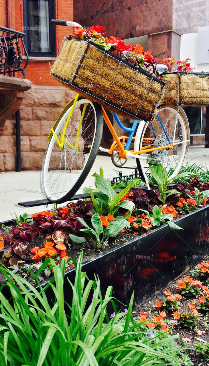 Flowers. Bike in a Flower Patch