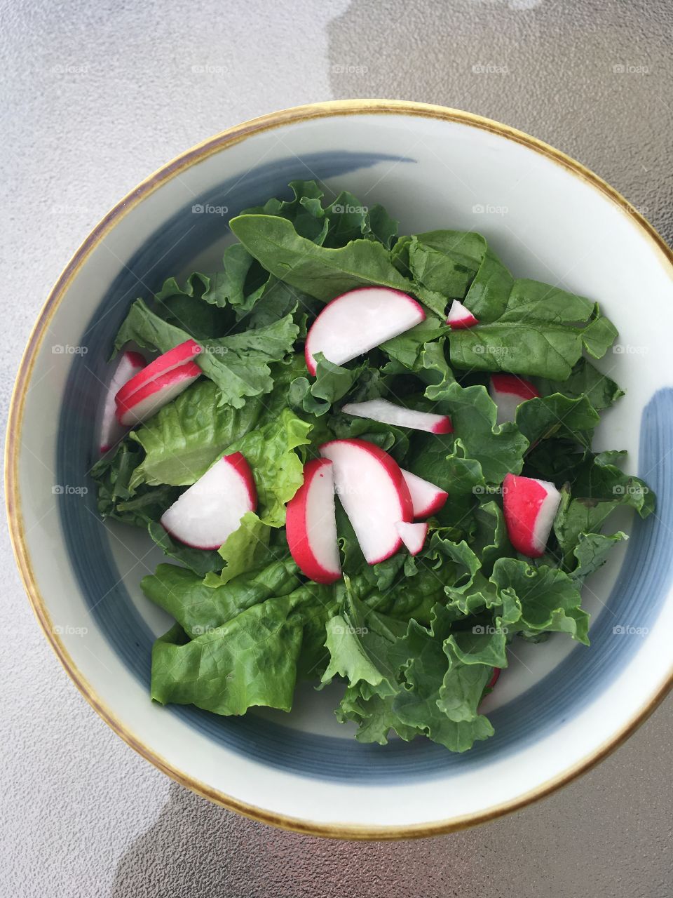 Bowl of fresh picked lettuce greens and radishes in salad.