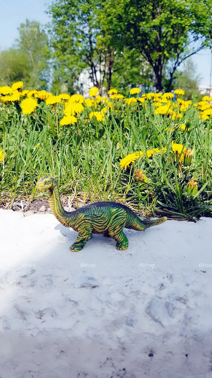 dinosaur